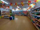 Mini Mart Grocery Store, Chitaipur